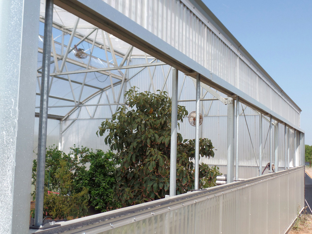 GreenhouseSouthVent