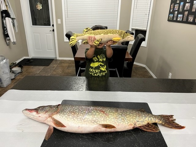 Clarks fish hold