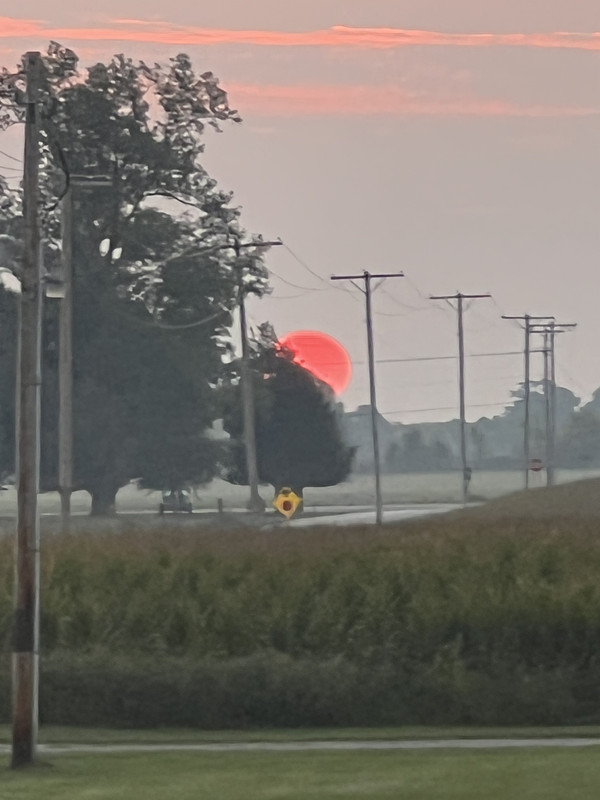 86CD5280-3627-4A7D-B5F3-700554D80BD7