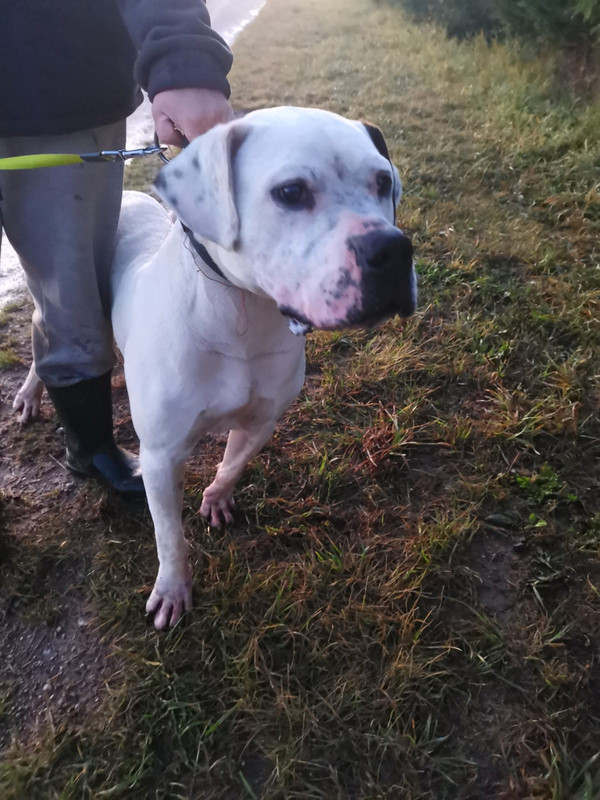 983253E1-C095-43EE-BC84-2F74A1CE993F