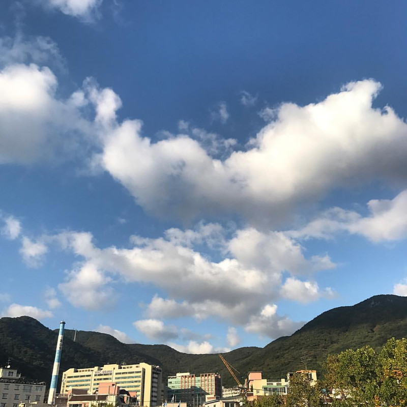 2017-10-20 05.00.50 1629745712396699440_1494694790