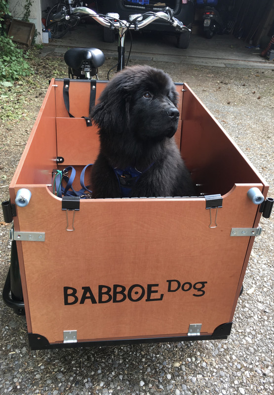 [Image: IMG-5208.jpg]