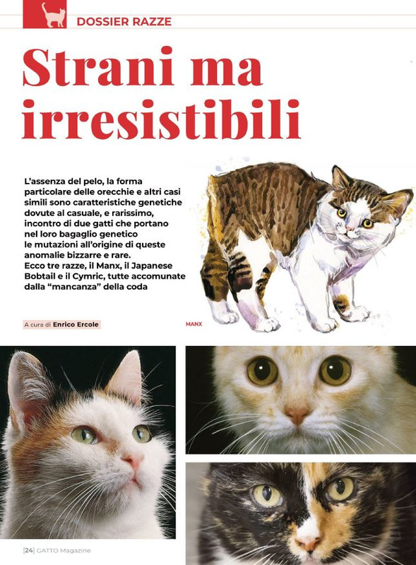 Ga Ma Ott-Nov 2021 (2)