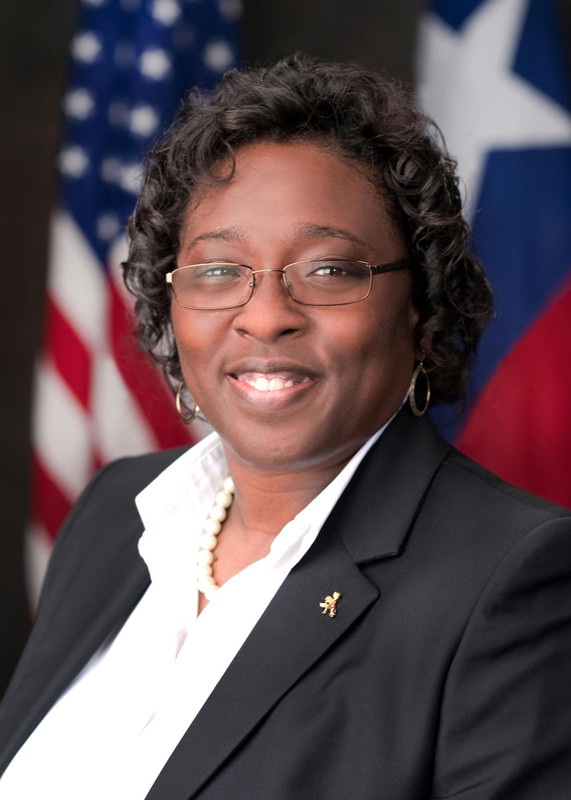 Non-partisan election information about Elaine Palmer, Candidate - District Judge, 215th Judicial District - Civil by the League of Women Voters of Houston