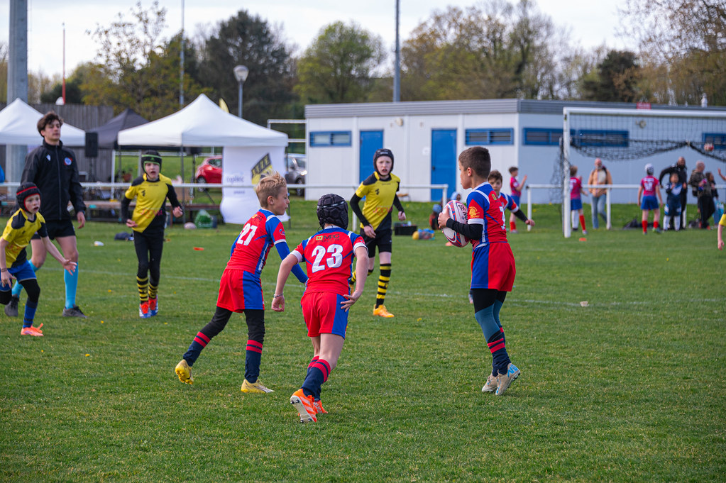 tournoi-de-latlantique-2026-adonis-griffon-59-55181694055-l