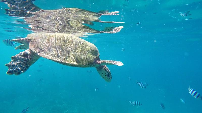 DÍA 9:  LA DIGUE - Seychelles-2ª parte de nuestra luna de miel. Se puede pedir más? (6)