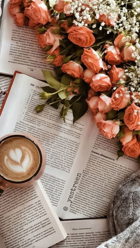 Screenshot_20230211_150056_Chrome