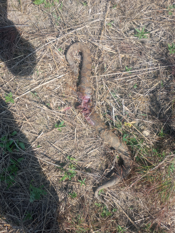 IMG_20230603_154650230