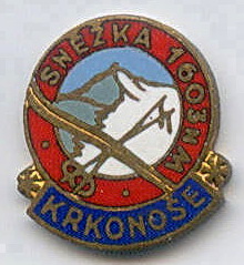 г31-35