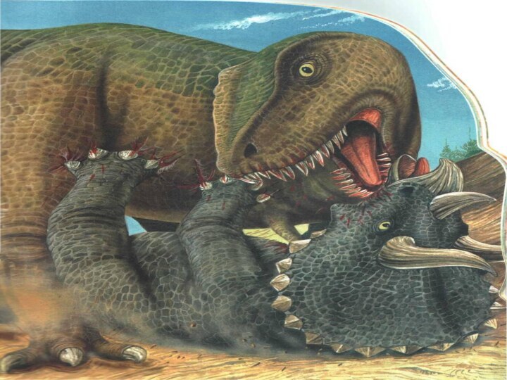 fed584f3b30cb610f65ab8dd6536e2fd-720x