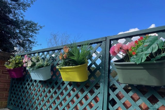 trellis.jpg