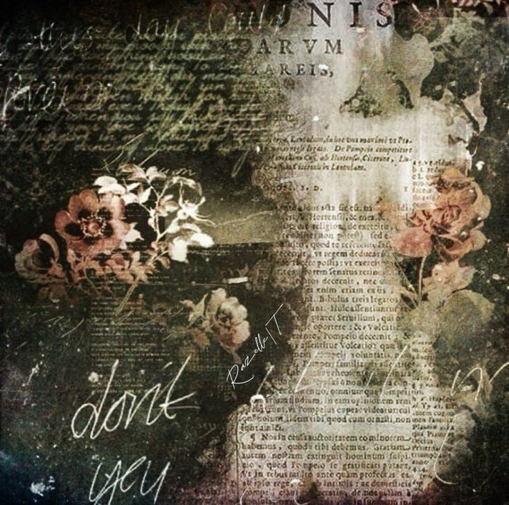 Tumblr l 502341445035194