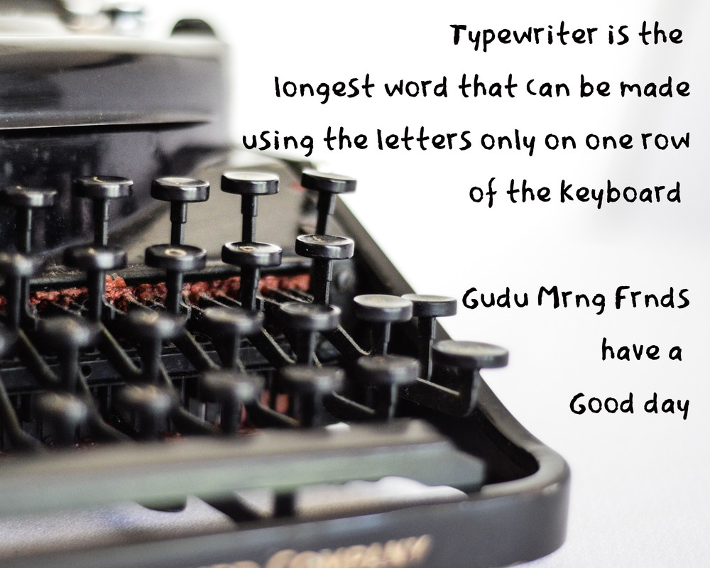 debby-hudson-oVQBn0X2oEk-unsplash (1)