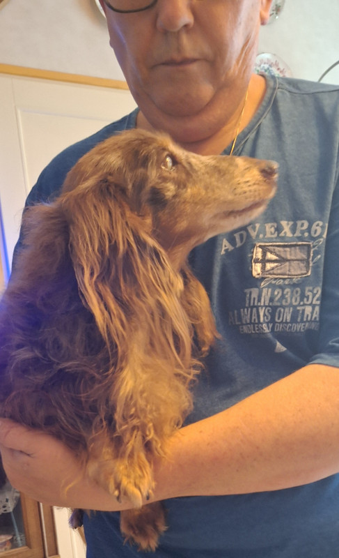 [Image: 20250910-161420.jpg]