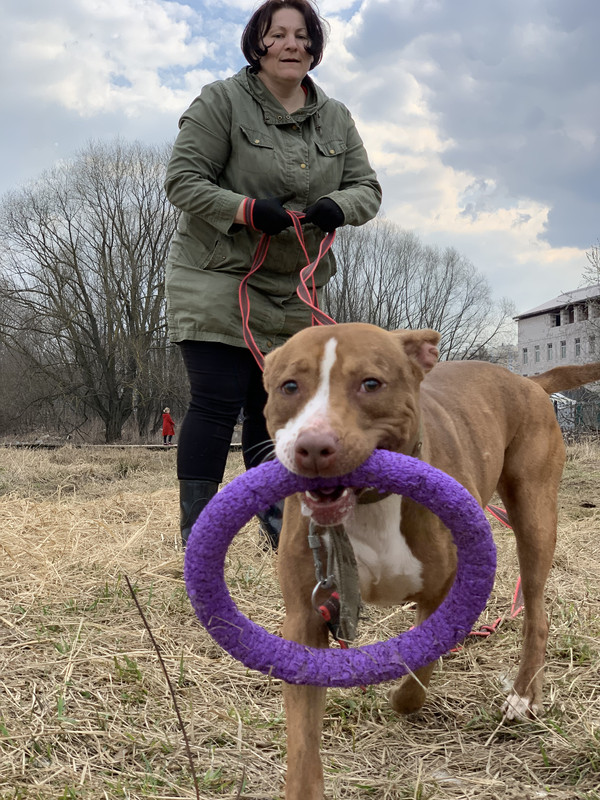 image-09-04-23-05-38-4 (1)