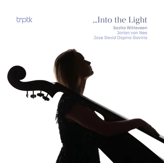 Sasha Witteveen, Jorian van Nee & Jose David Ospina Gaviria • Into the Light (2024)    .flac  96.0 kHz/24 bit