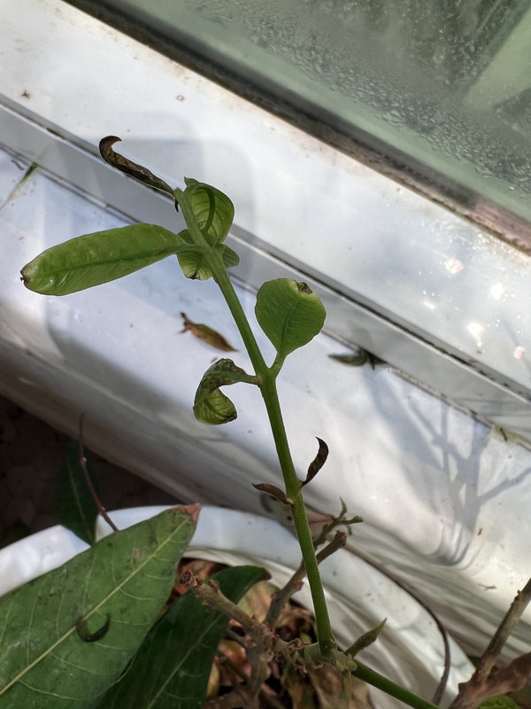 025EC4C3-39F8-4D45-BC69-BCCB57C4E3A7