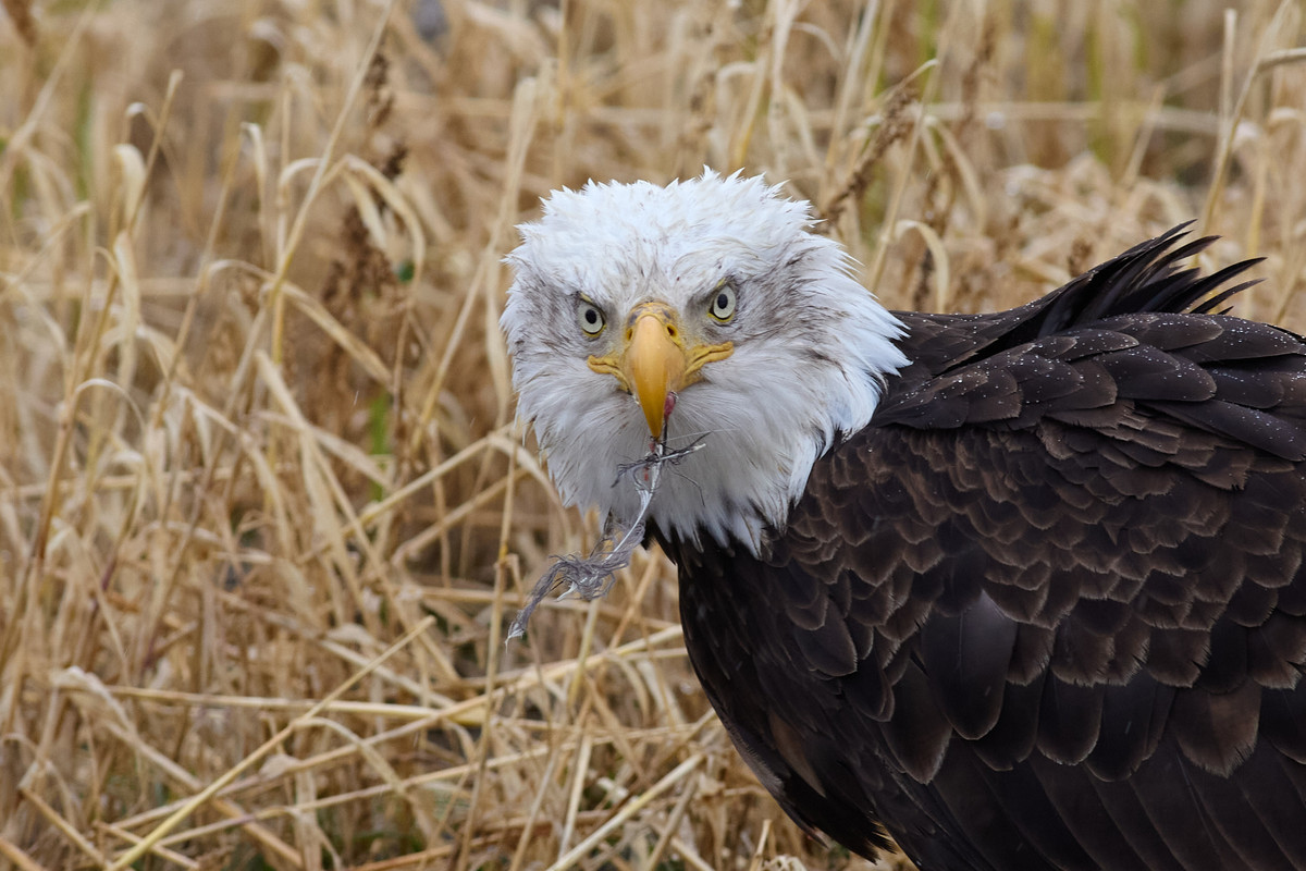 36B86376-522A-4547-B47D-BB0FC096E13B