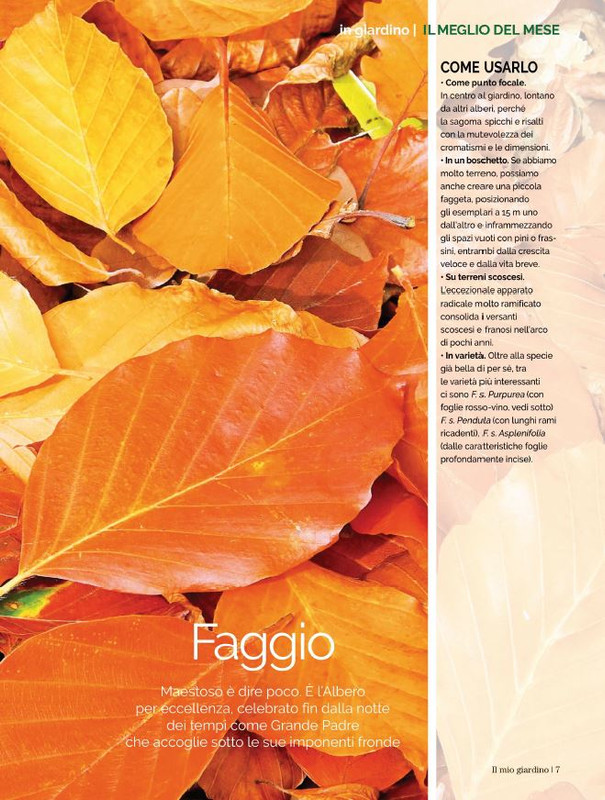 Il Mio Giar Ott-Nov 2022 (2)