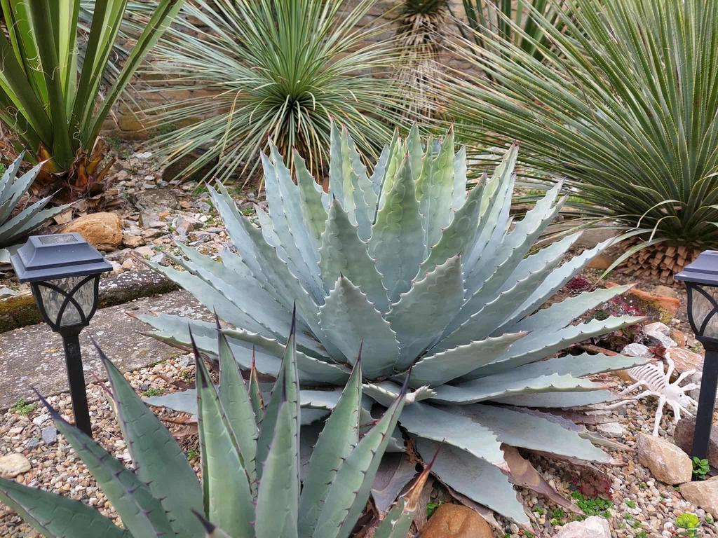 18e8b57f 2443 486a ba8b b2f443129912