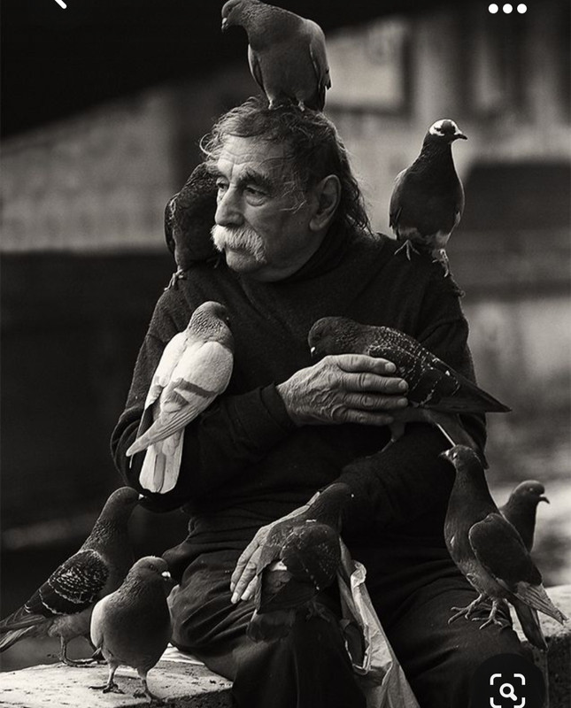 Screenshot_20231030_203048_Pinterest