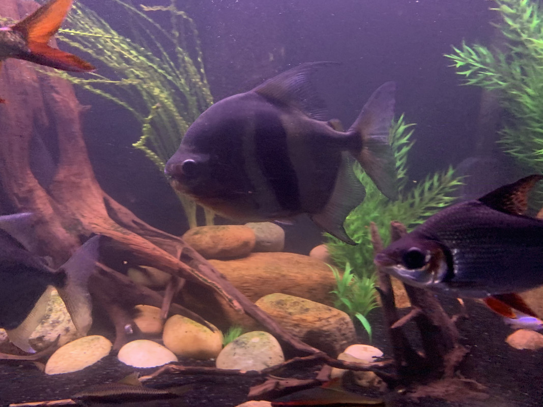 7772A3F4-5D91-4512-A69C-967ECD4322AE