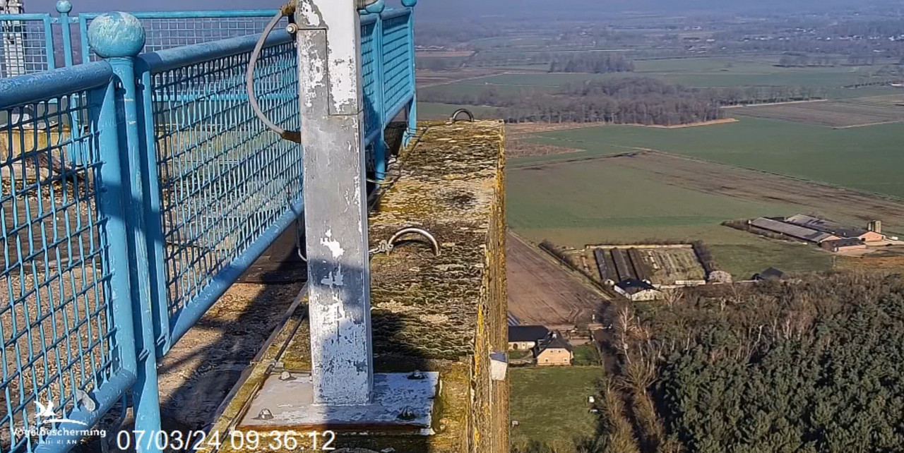 screenshots VWGGemert/Vogelbescherming Nederland. 2024-03-07-095745