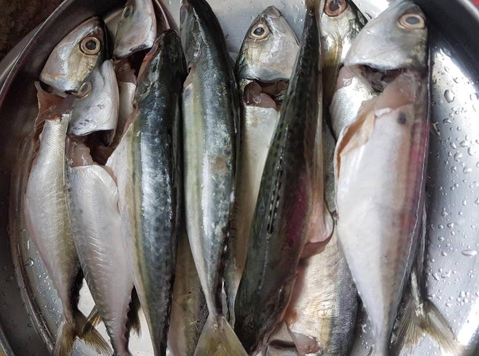 Resepi Laksa Penang Guna Dua Jenis Ikan, Sedap Dan Senang 