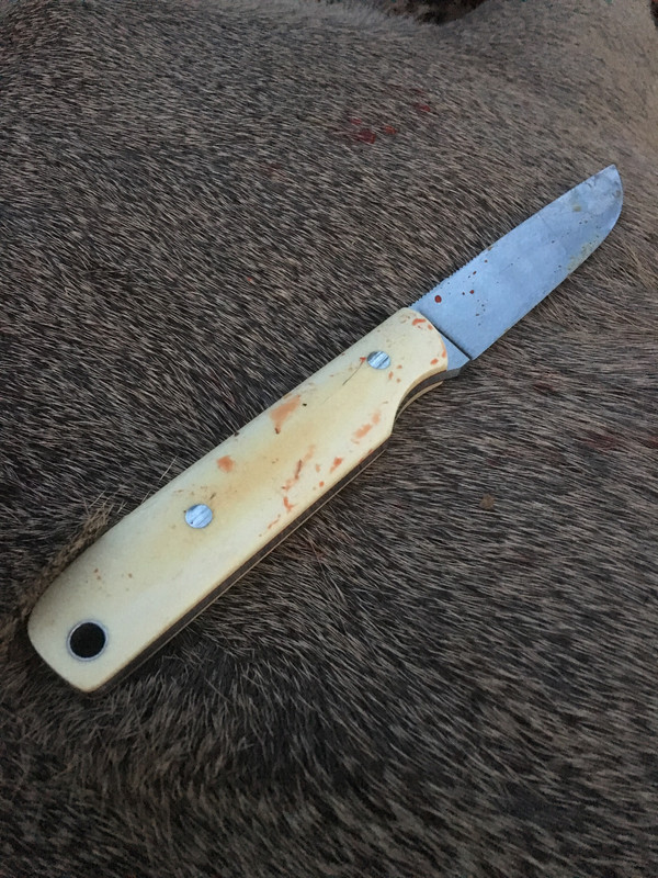 285576D9-CC50-4B65-8A67-77DBF2CF460C