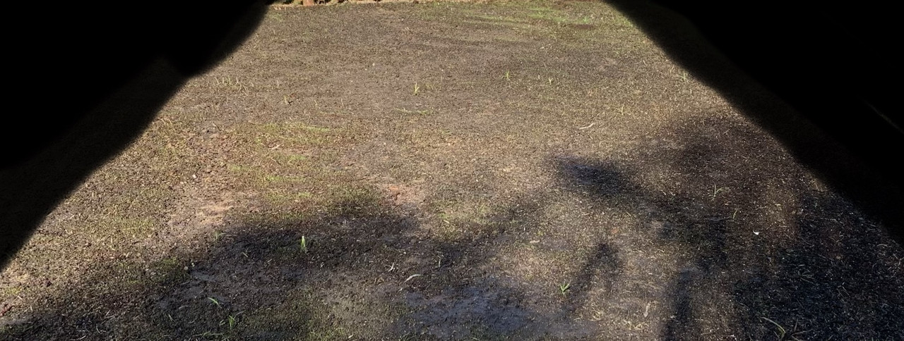 DC7F5FB4-558E-4B66-81EF-CA833892BBAB