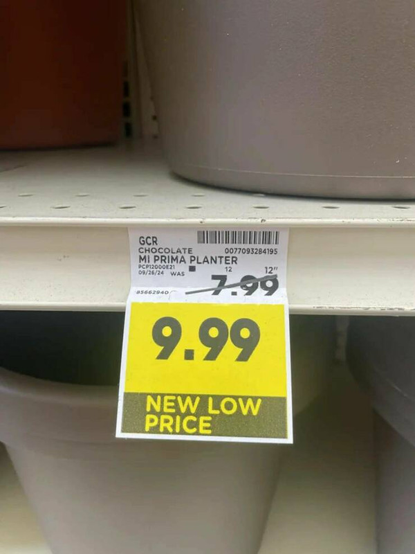 daily-picdump-40-7.jpg