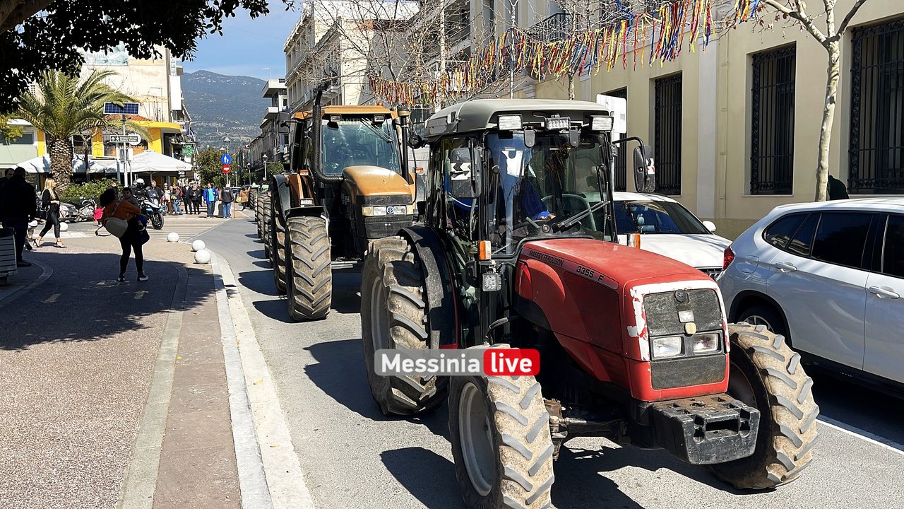 agrotes-IMG-9567