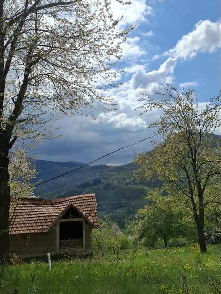 Slika