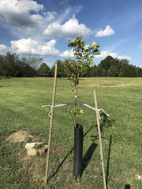 0791EC1A-5C8A-4E4D-9308-EB267F646000