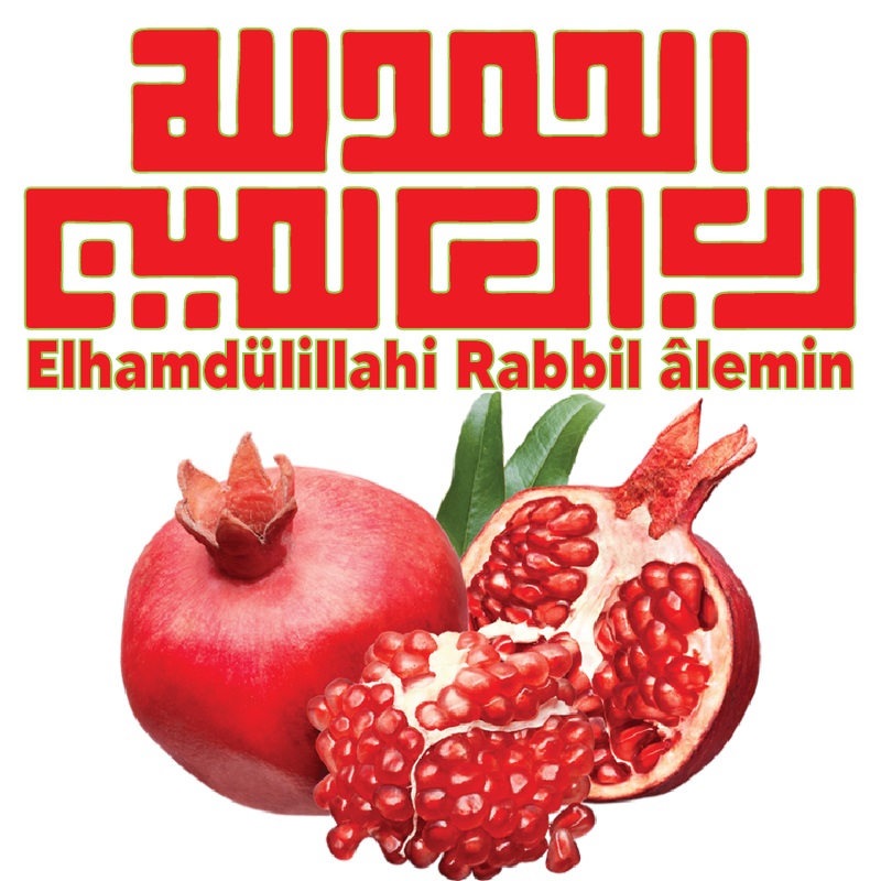 Untitled-5فغع755665-01