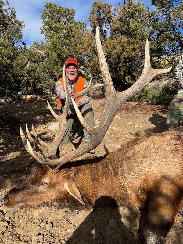 Fav big smile 40 yr bull