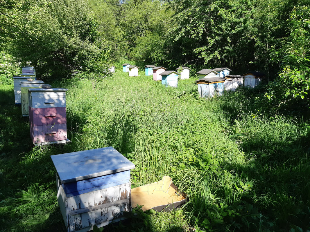 07.27b - 20220618_165328 (PiTT)