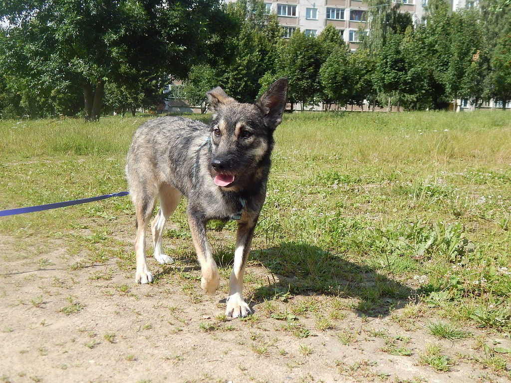Sandra stands and looks at side