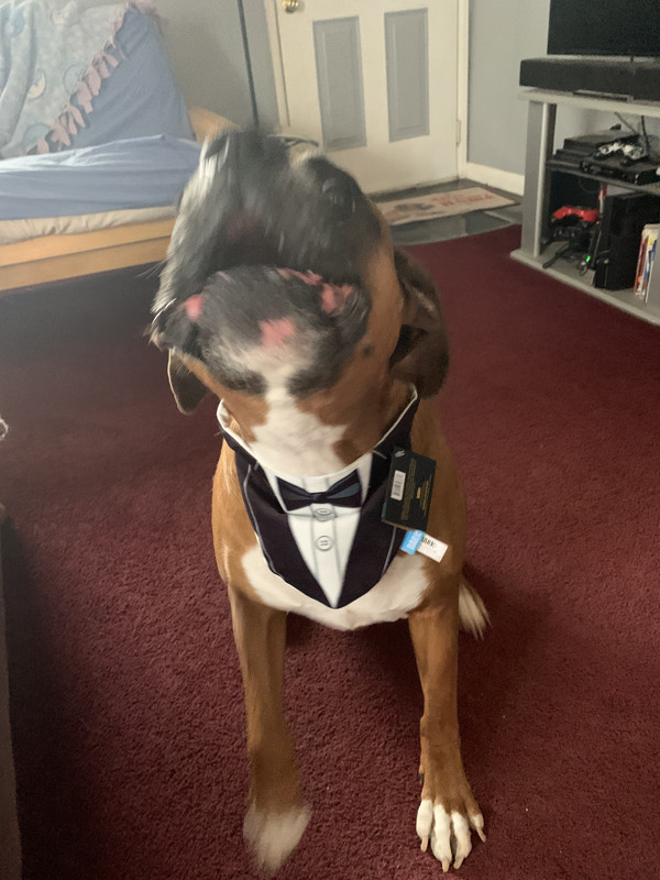 73E2A154-3E62-489D-8C79-C8839F5CF856