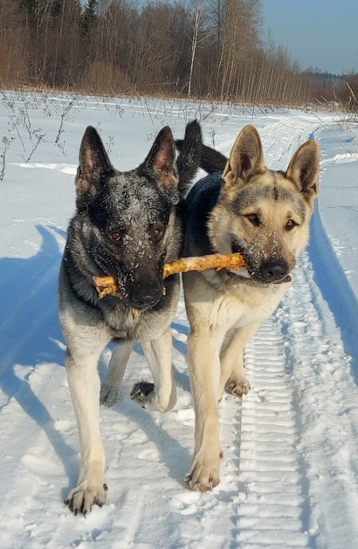 4zxboGwNRy8vV7rNTqUKG3UQObAwcfv-848zEqj8y7KmELkQnSb4NDpmrdL6JKom3-ctWP41B5JDGRmv0cNHWAGS