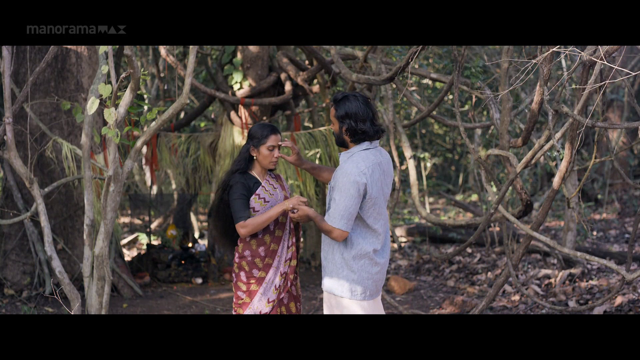 vlcsnap 2026 02 06 18h02m14s800