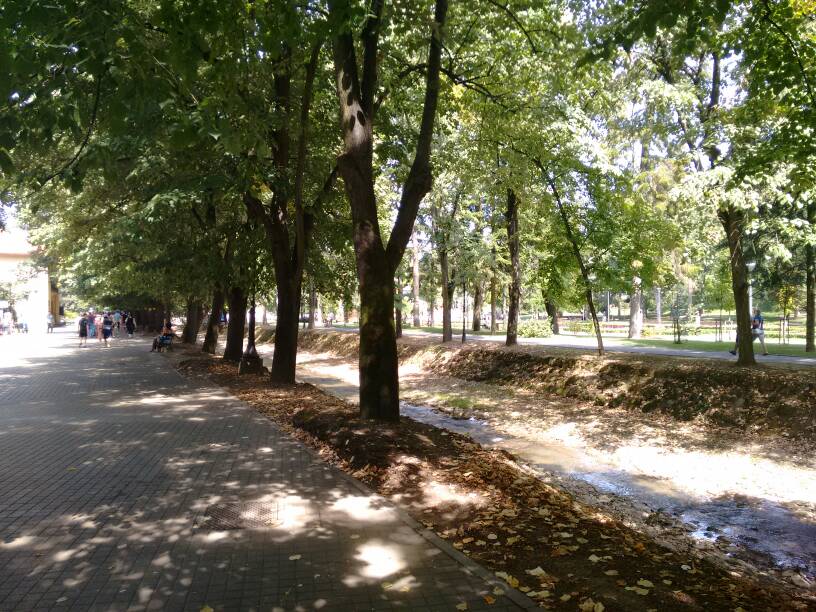 Slika