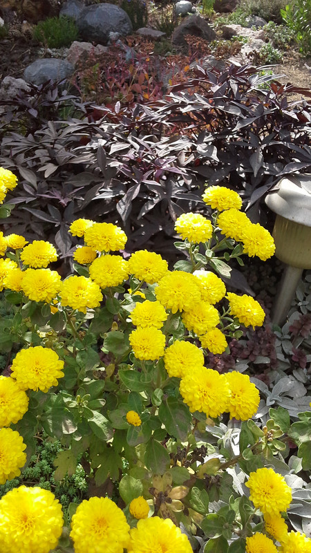 20120410_171121