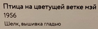 https://i.postimg.cc/50kJL5F5/2.jpg