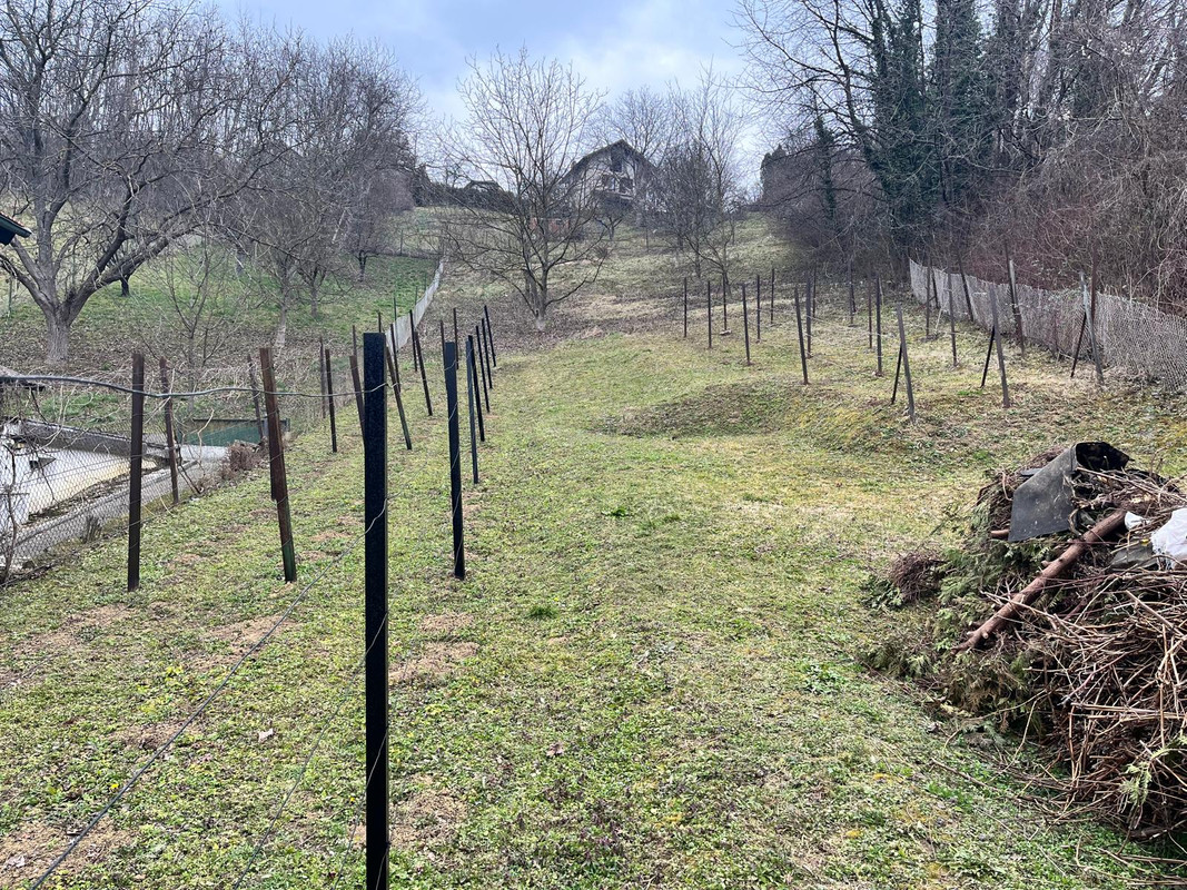 WhatsApp Image 2025-02-24 at 18.16.32 (2)