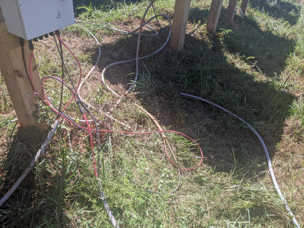 PXL-20240903-184807883.jpg