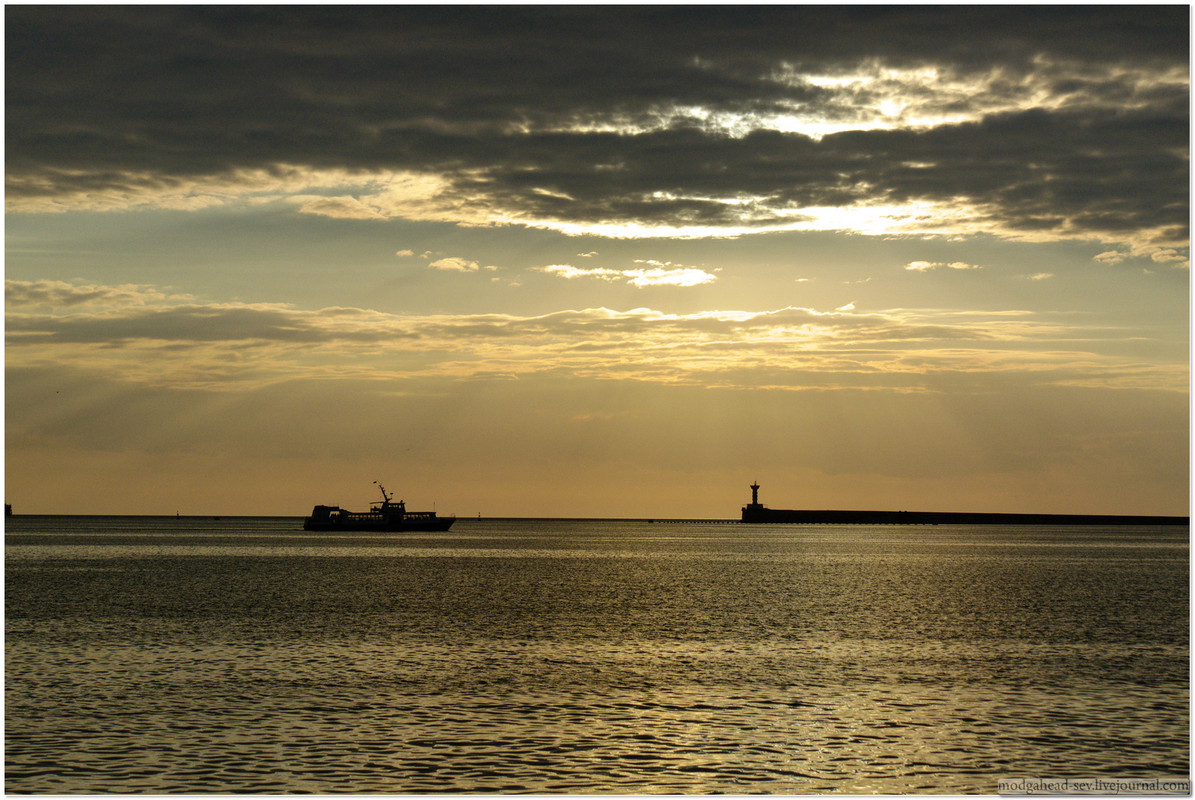 SAM_0006_full_p1(4950)