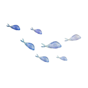 049.