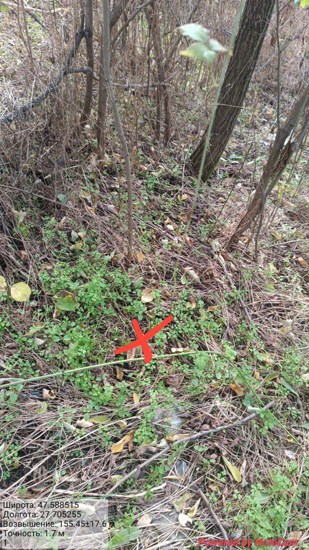photo 2025 10 24 12 09 55