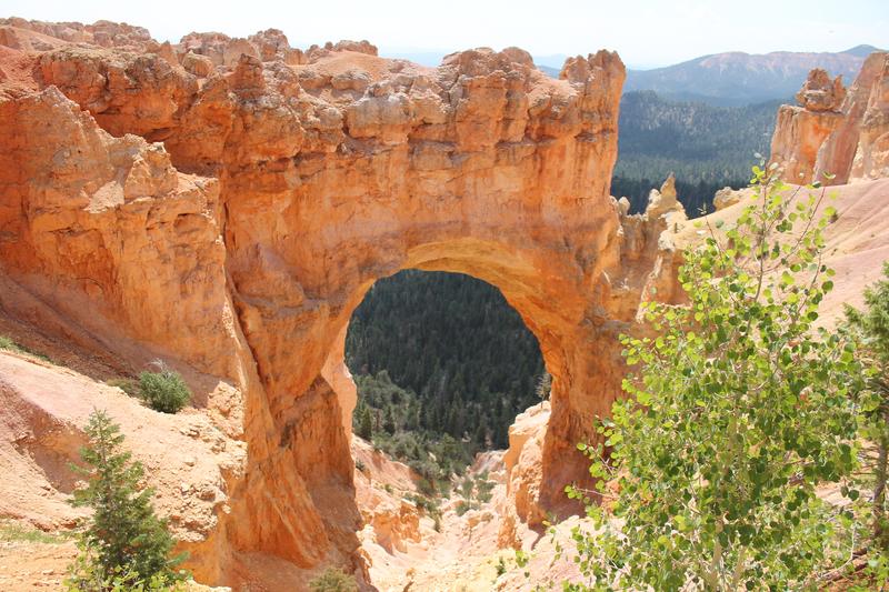 Día Doce: Bryce Canyon- Page - My West USA road trip: un viaje de película. (5)